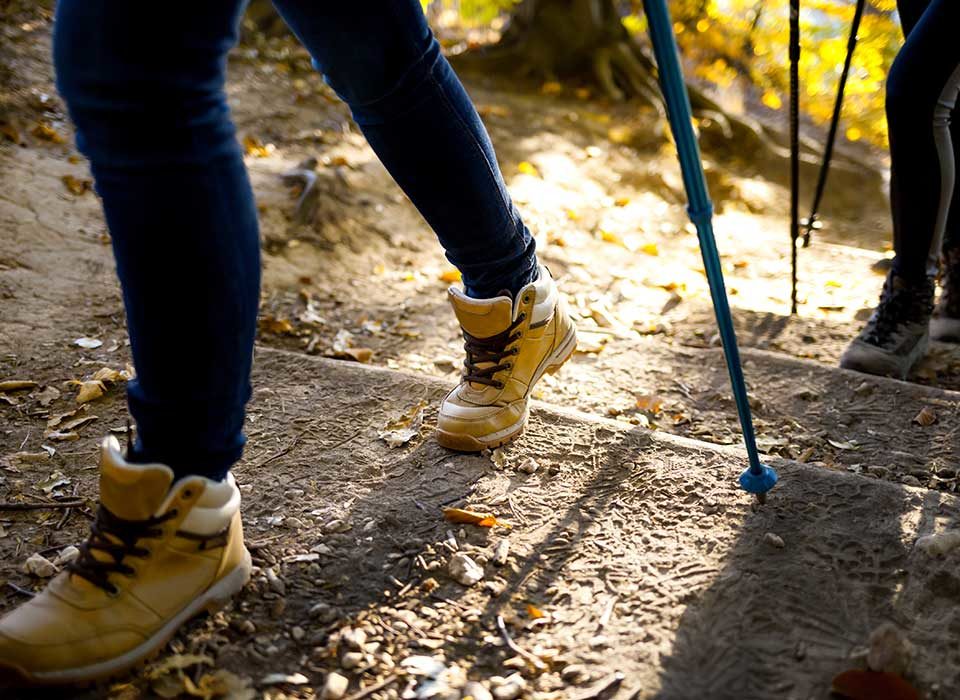 people hiking in the woods